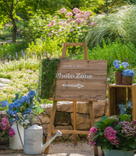 화담숲 예약 모노레일 예약 관람방법