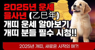 2025년 개띠 운세