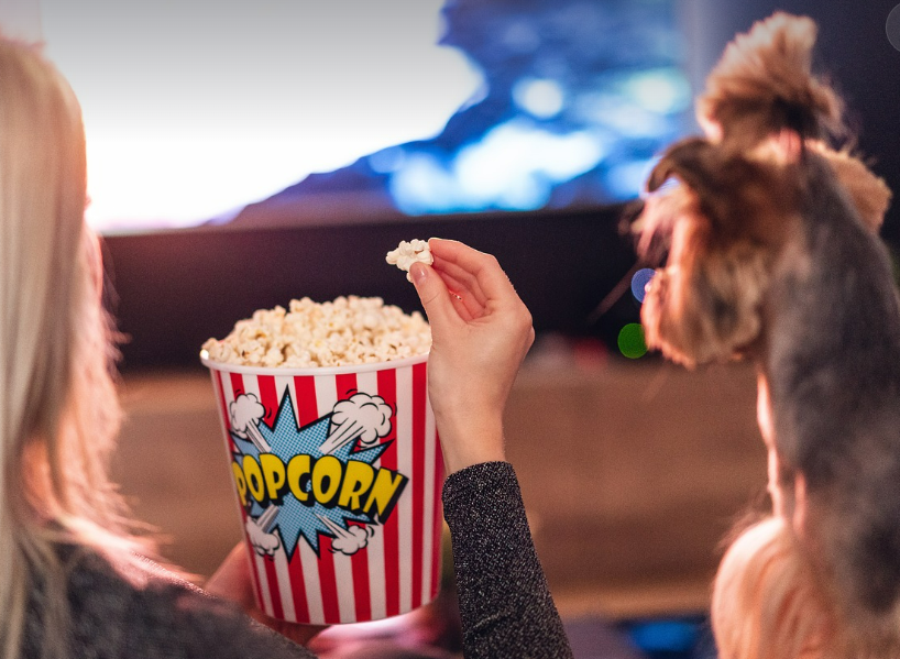 오늘 연예계 이슈 TOP3