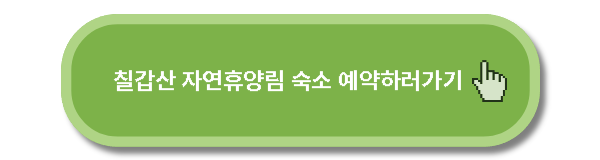 청양 알프스 마을 15