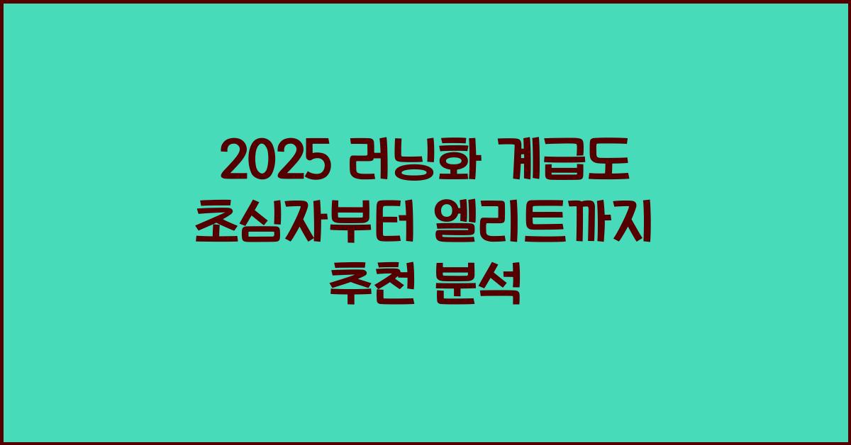 러닝화 계급도
