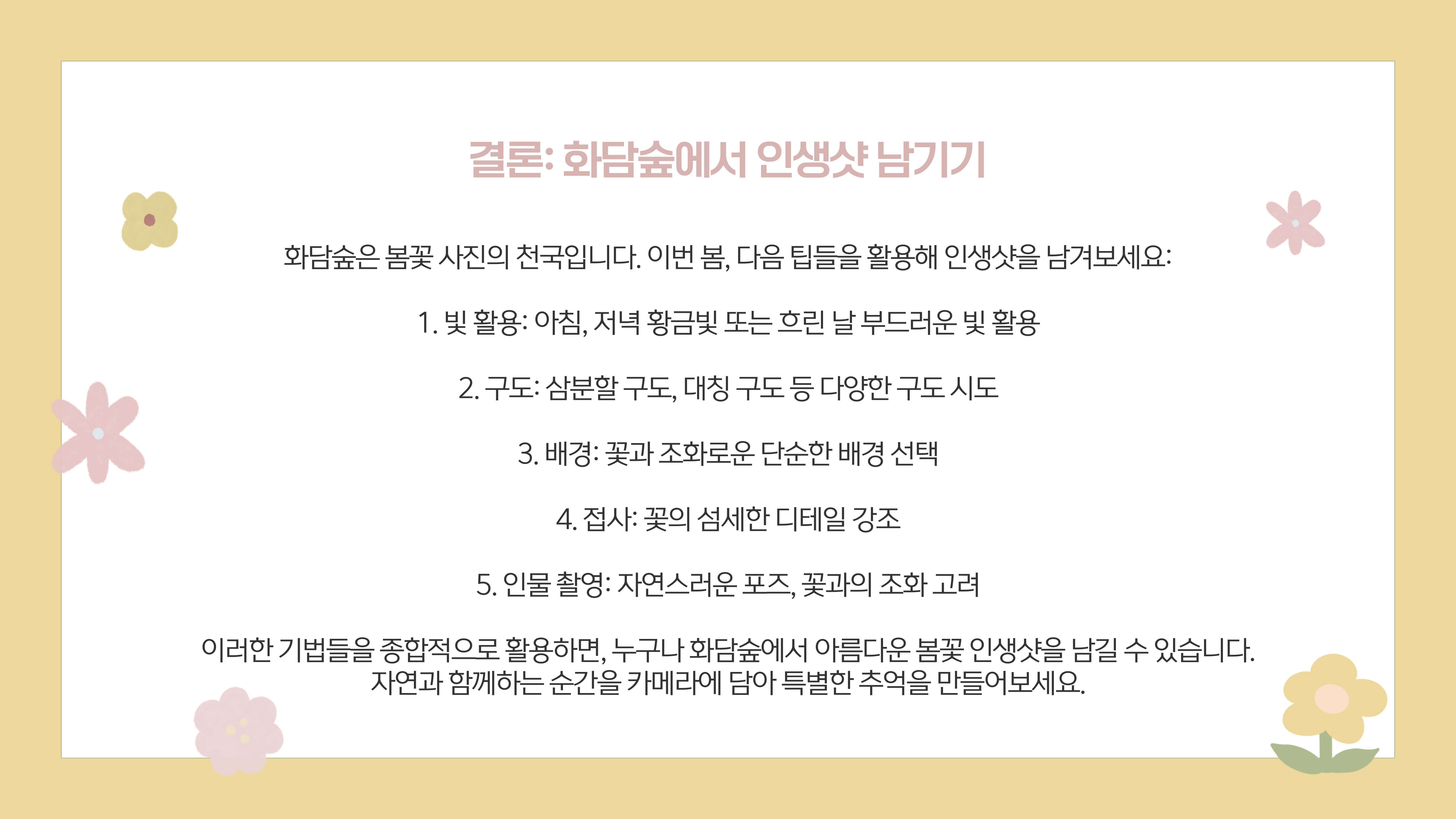 화담숲 봄꽃 사진 촬영 팁