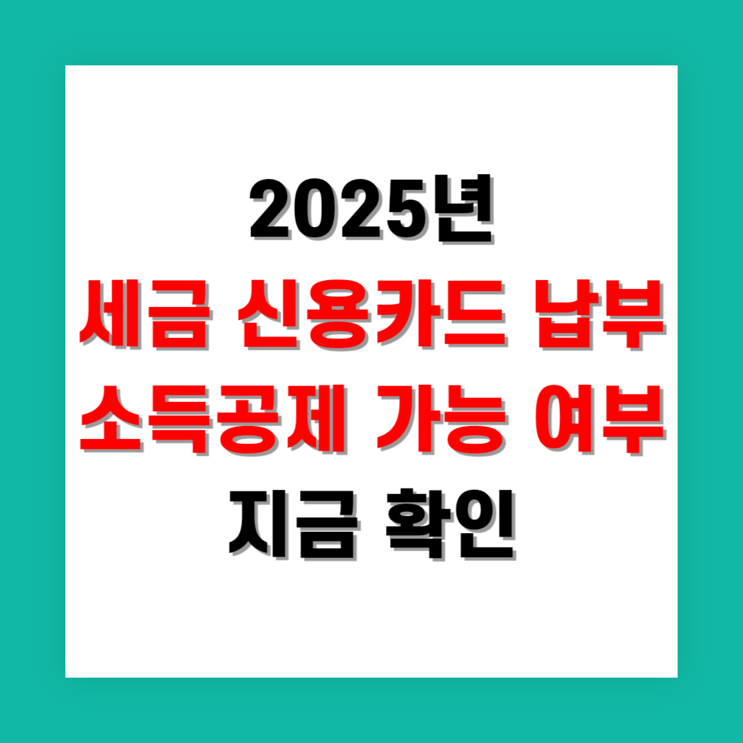 2025년 세금 신용카드 납부 소득공제 가능 여부 지금 확인