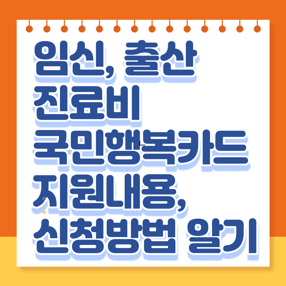 국민행복카드 바우처 임신 출산 진료비