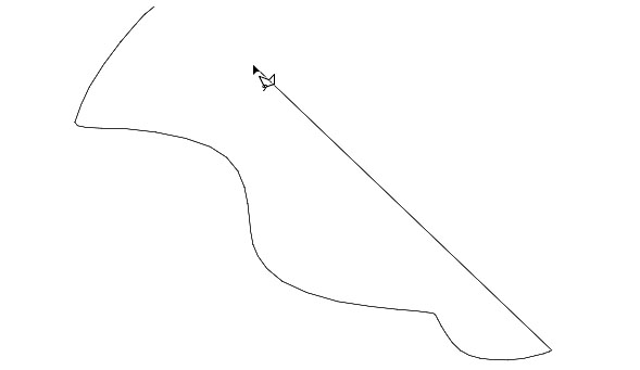 다각형 올가미 도구로 변환하는 방법