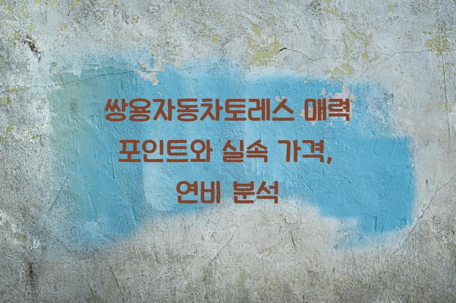 쌍용자동차토레스