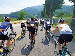 무릎보호대 효과 부작용 (내돈내산 추천)