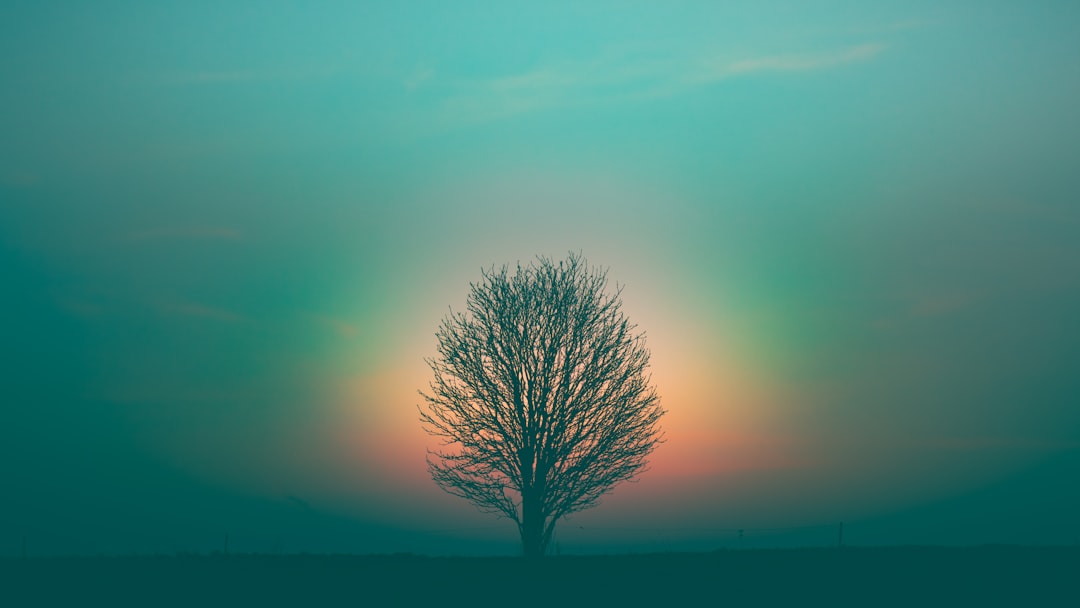 Spirit