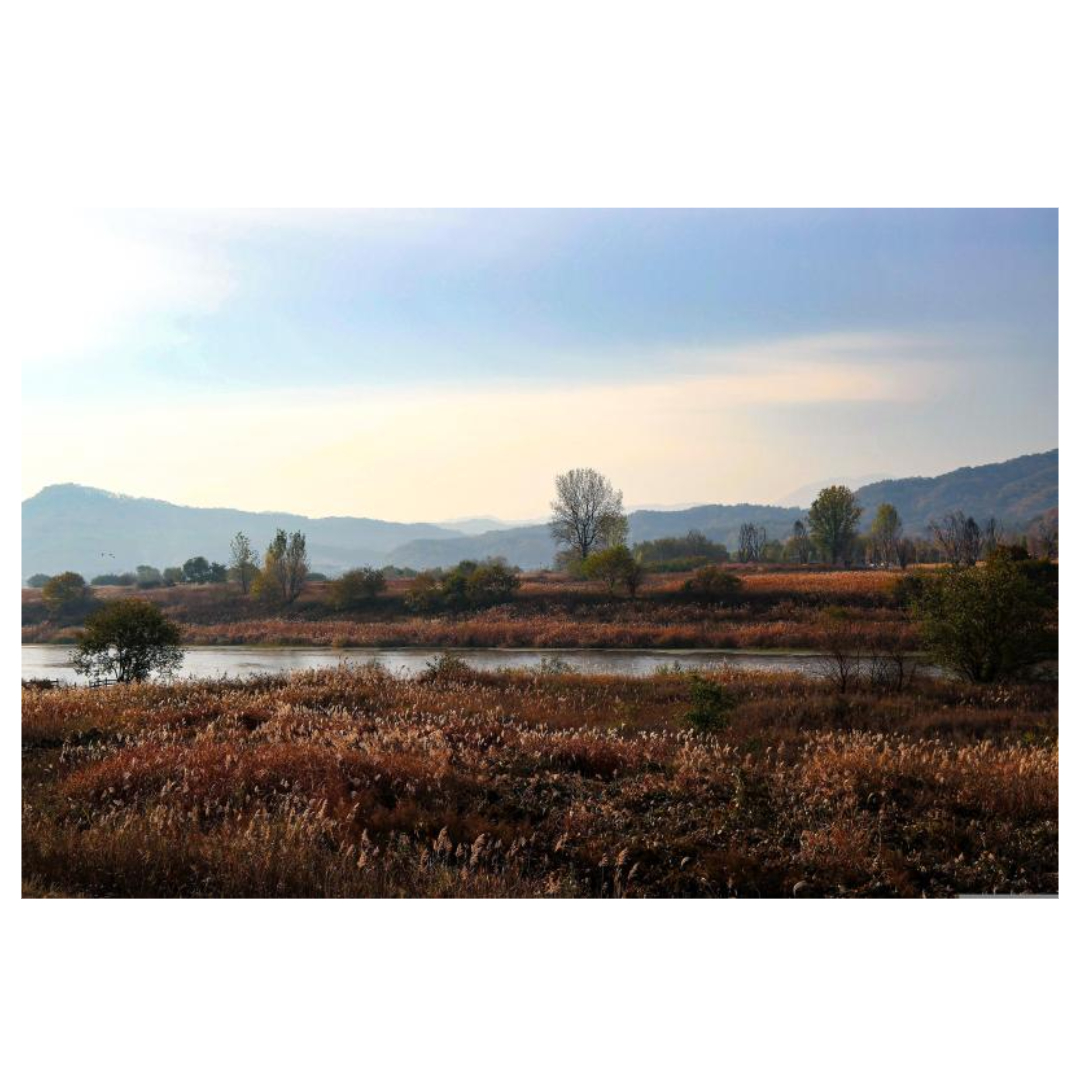 여주와 관련된 사진입니다.