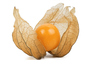 골든베리의 효능08