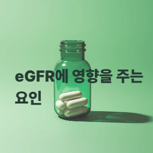 eGFR에 영향을 주는 요인