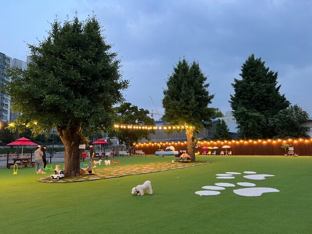 하남 & 경기 광주 반려견 동반 공간 Best 6 : 입장료, 위치, 시간까지 한눈에!