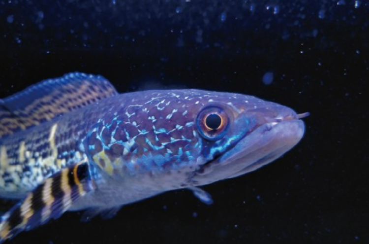 이천시 환경학습관