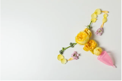 자궁경부암 검사,정부 지원