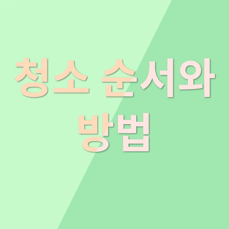 새 집 청소_2