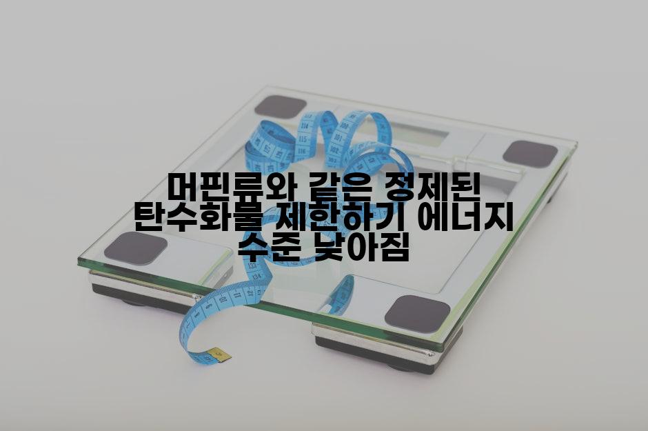 머핀류와 같은 정제된 탄수화물 제한하기 에너지 수준 낮아짐