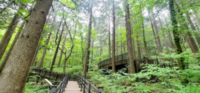 국립자연휴양림 예약 방법