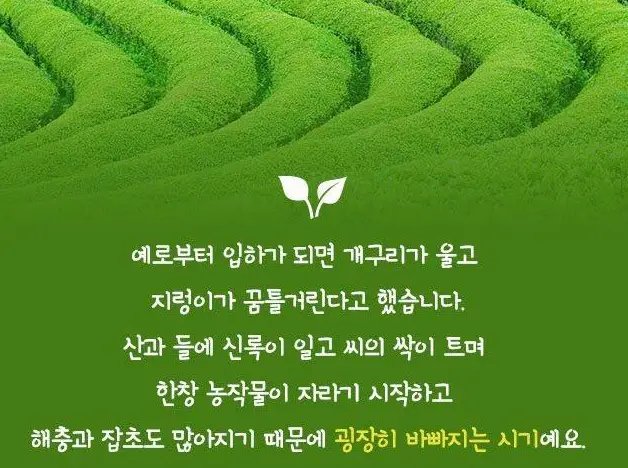 입하-유래-풍습