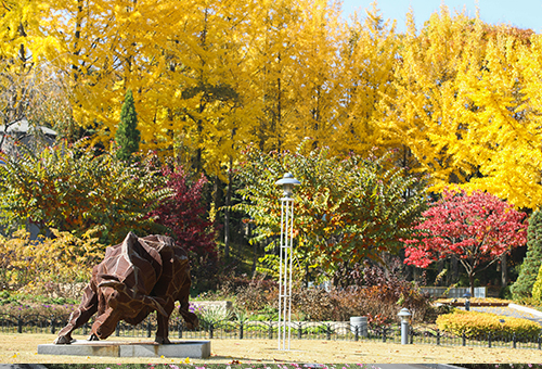 베어트리파크 단풍 축제