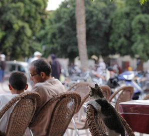 노인일자리 사업 종류