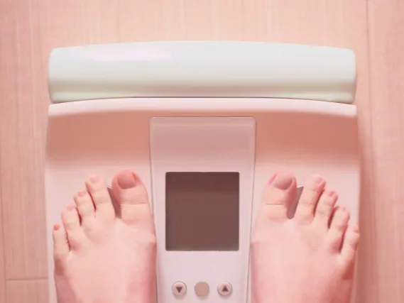 가지 수분 함량 높음 
