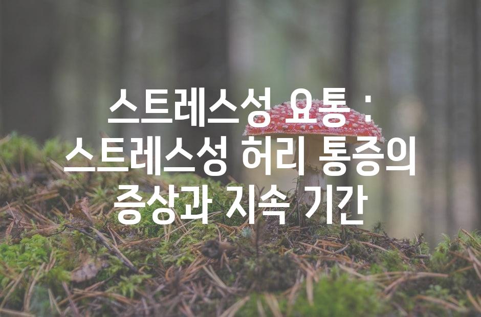 샘플 (42)