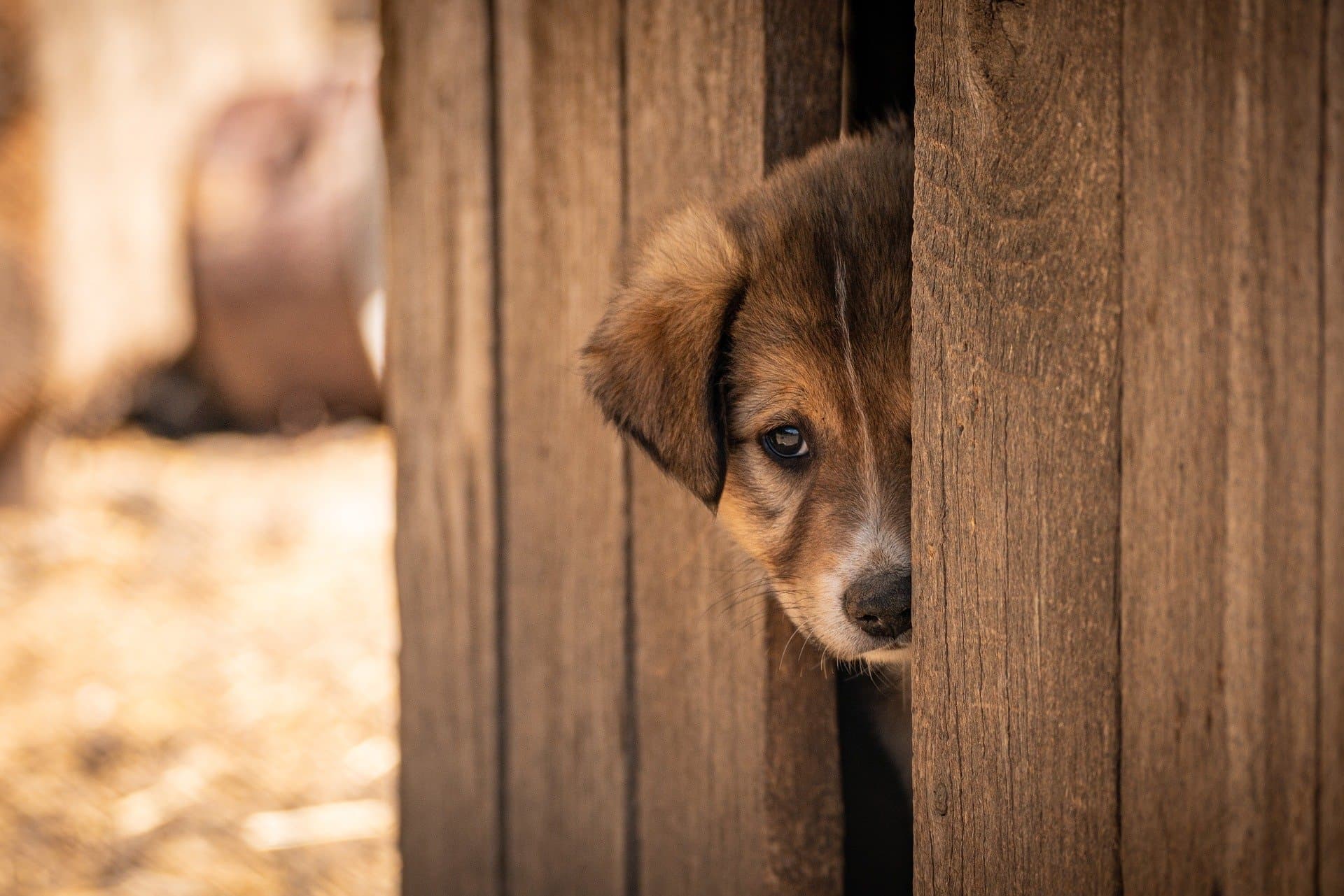 구글플레이결제취소환불방법실수결제했을때지금바로해야할것