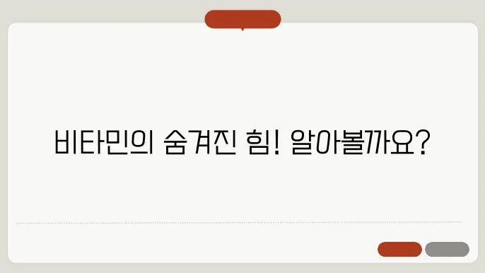 채소 비타민 종류