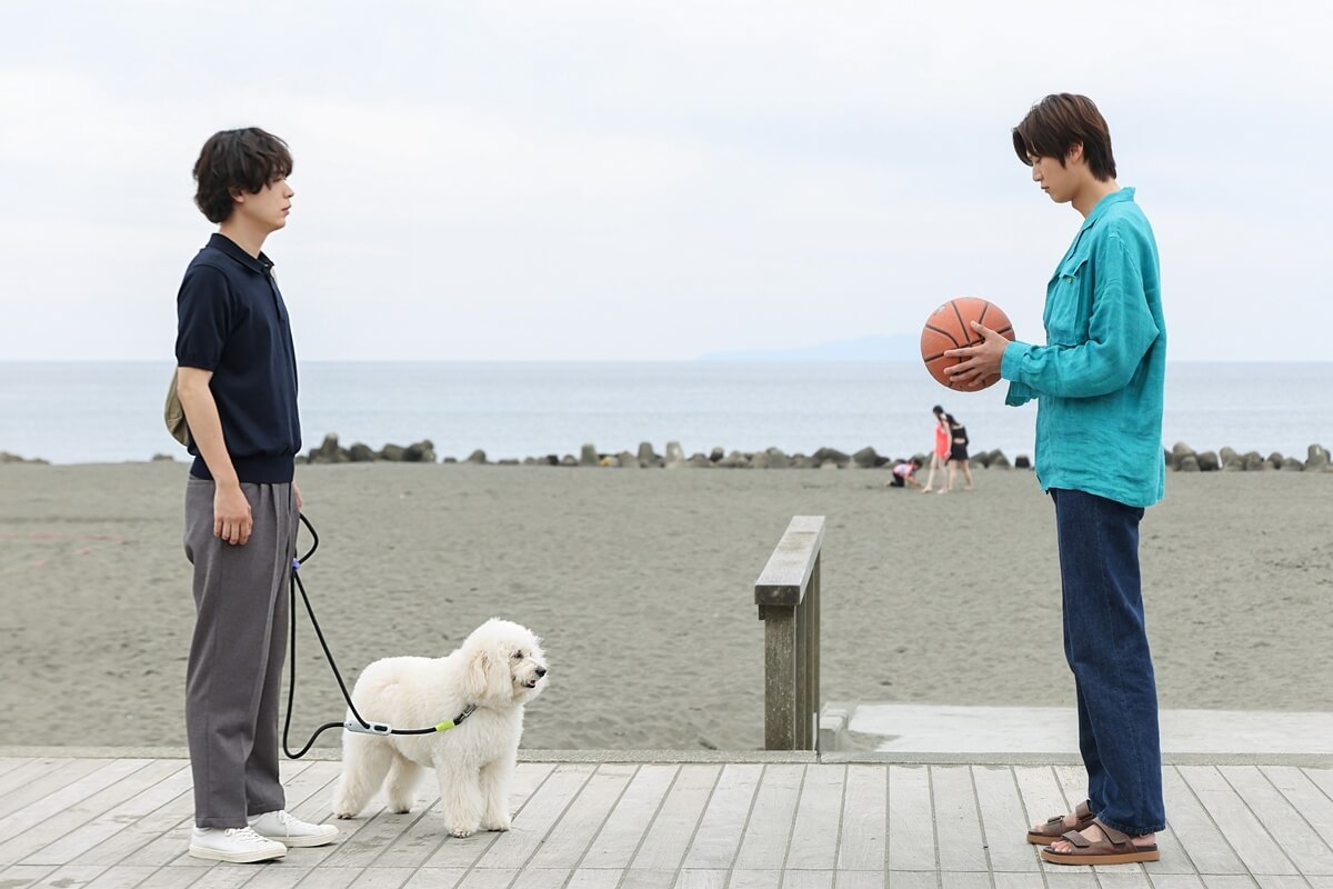 첫사랑 dogs