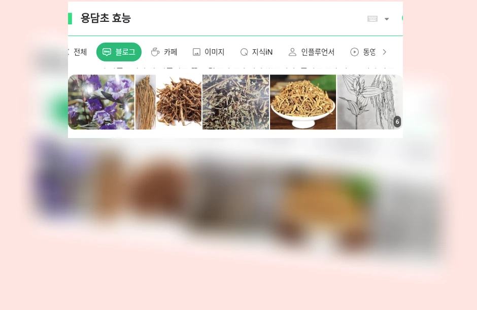 용담초 효능_1_subsection