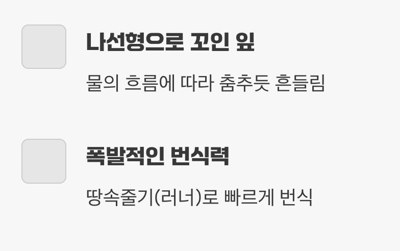 꼬불꼬불 귀여운 매력&amp;#44; 스피랄리스