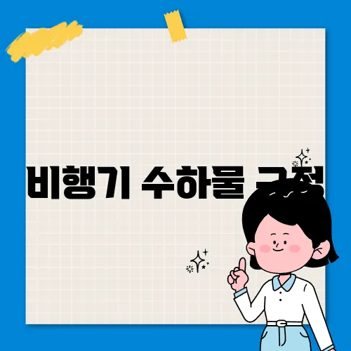 비행기 수하물 규정
