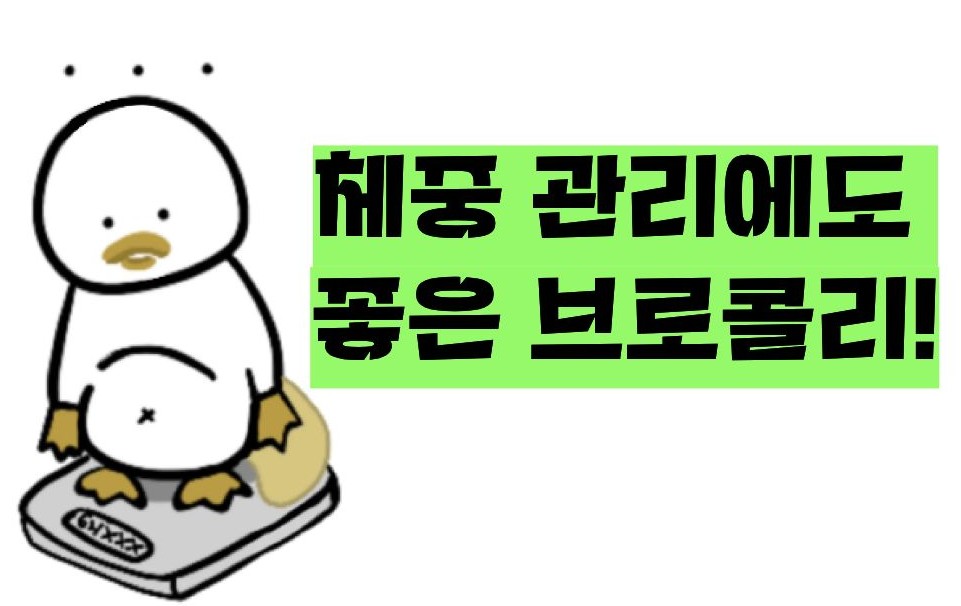 브로콜리 효능