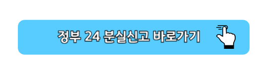 여권 분실시 재발급