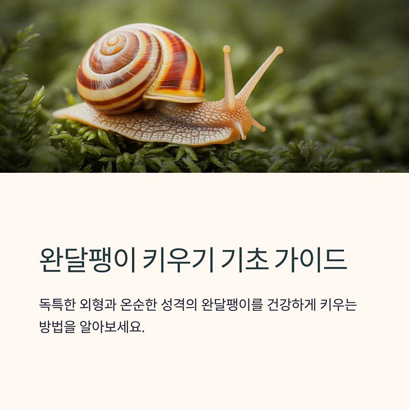 완달팽이 키우기 기초 가이드