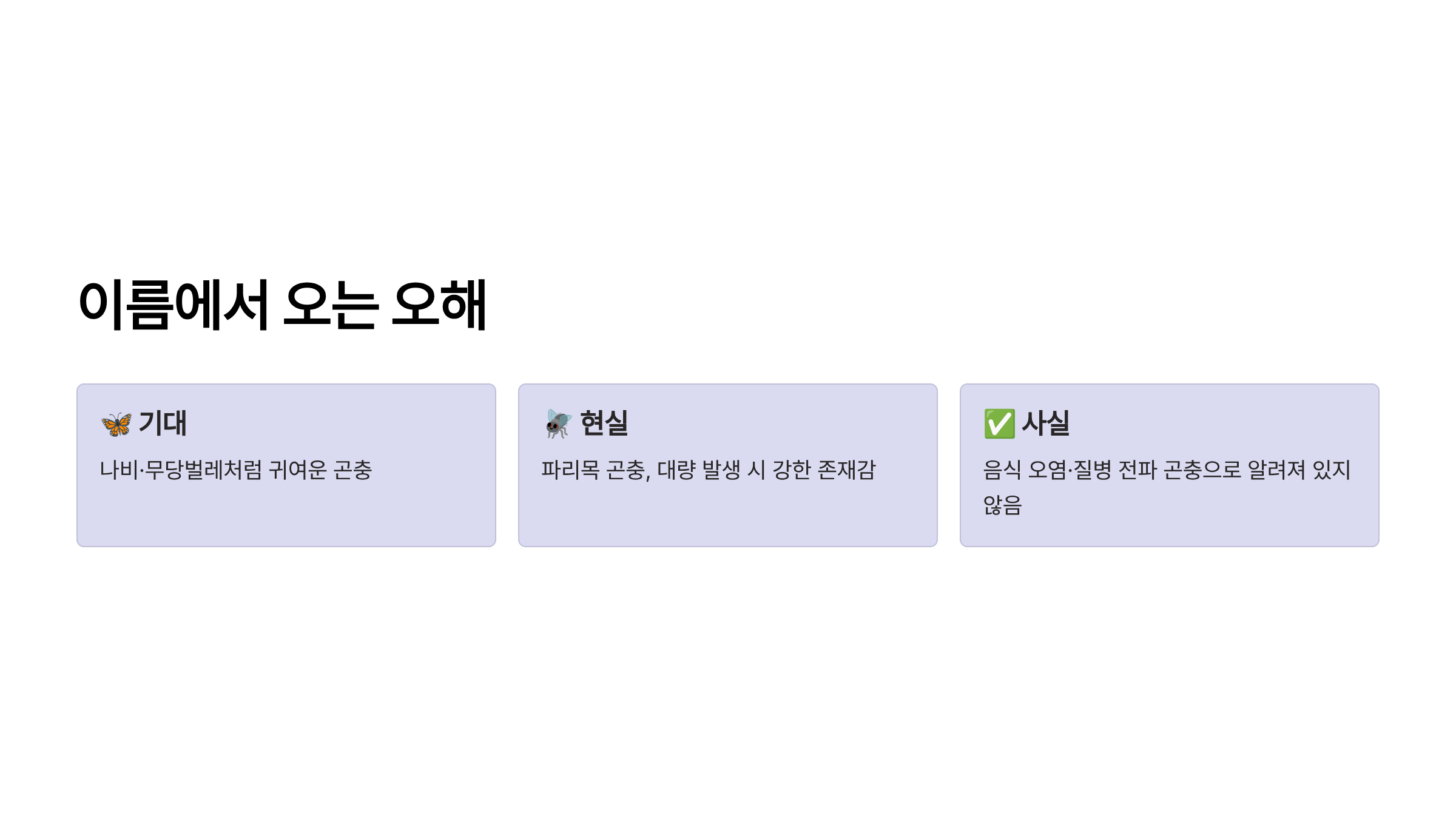 러브 버그