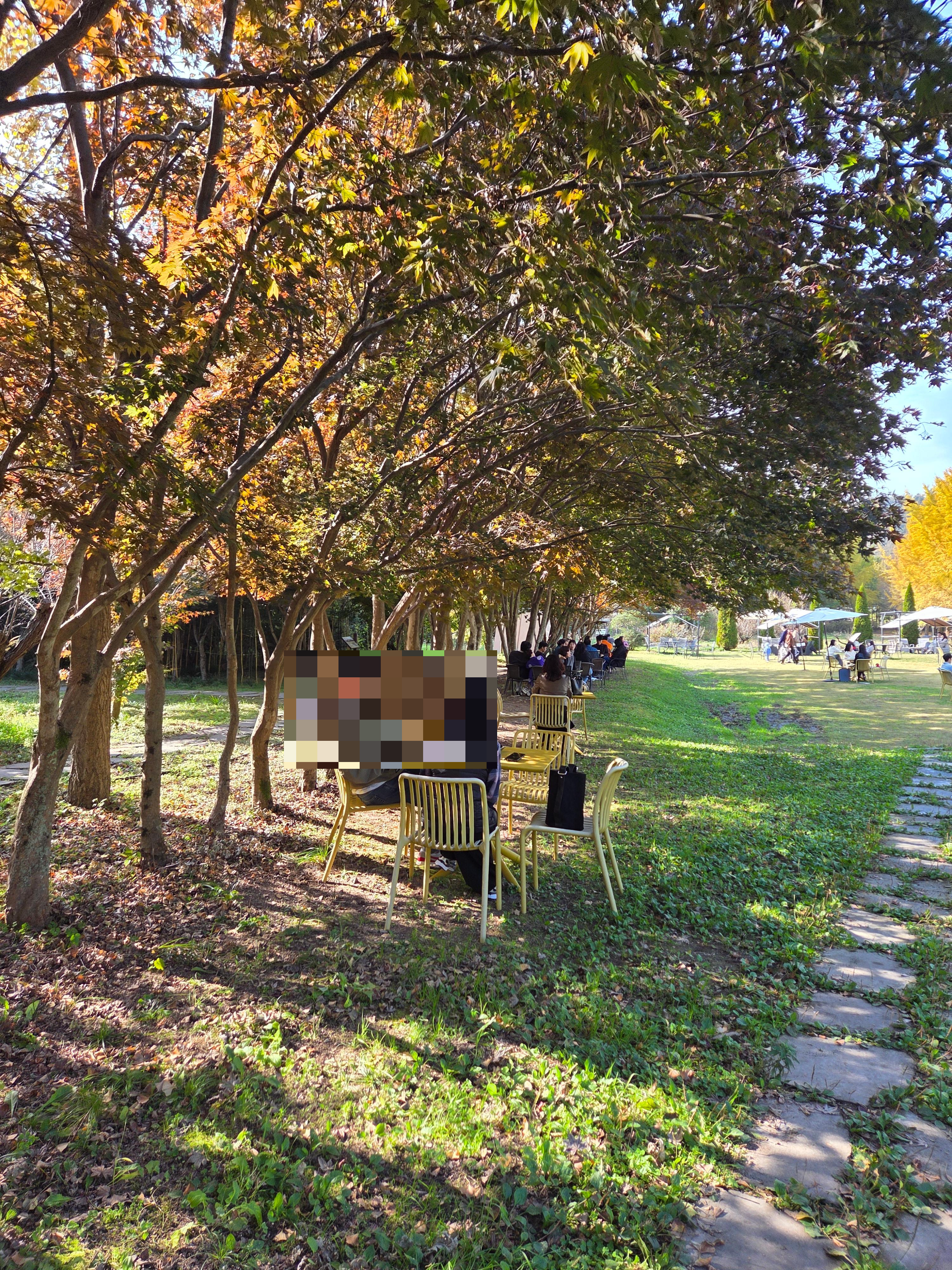 나주 은행나무수목원 카페