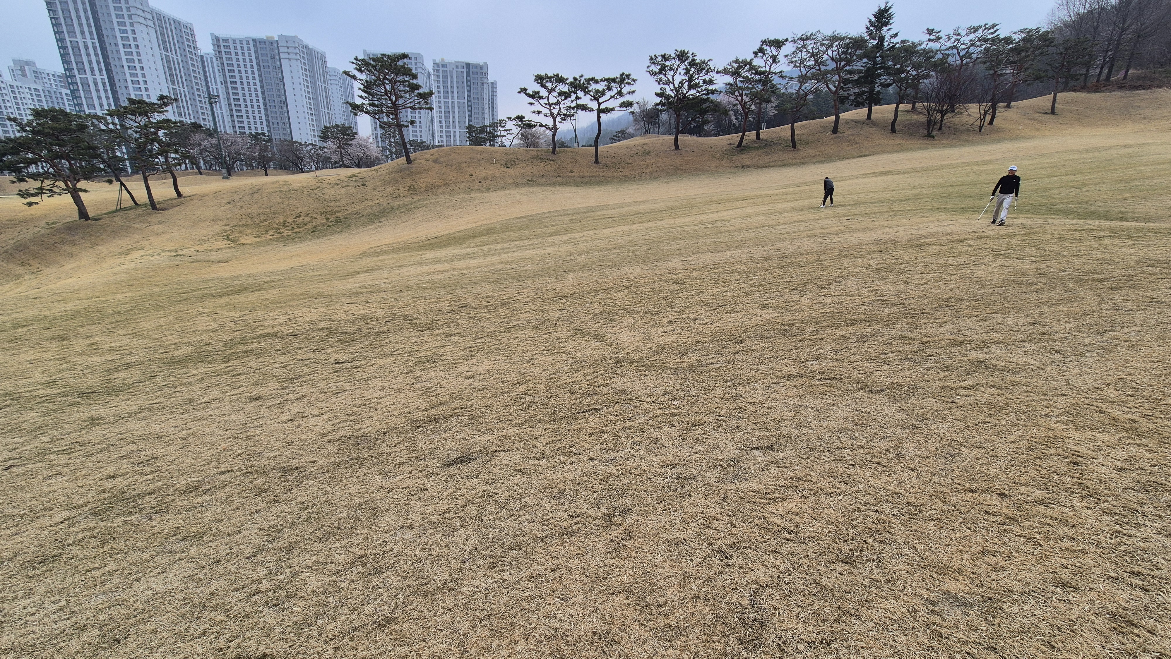 캐슬렉스cc