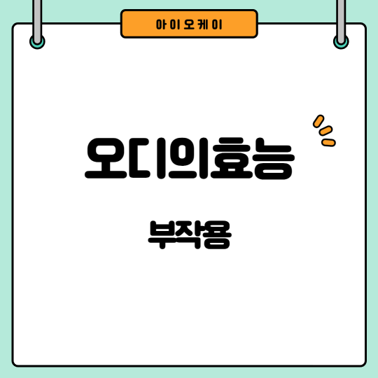 오디의효능