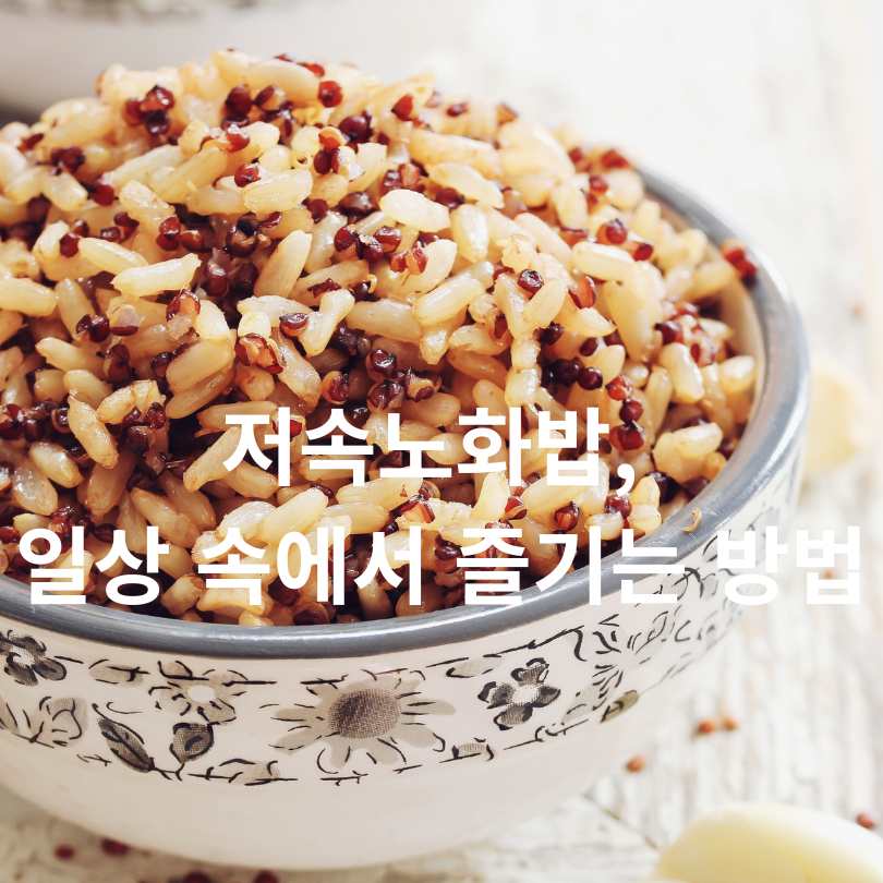 저속노화밥 효과와 저속노화밥 황금비율 공개! 