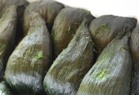 매생이_주의사항