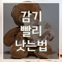 감기 증상, 감기 빨리 낫는 법