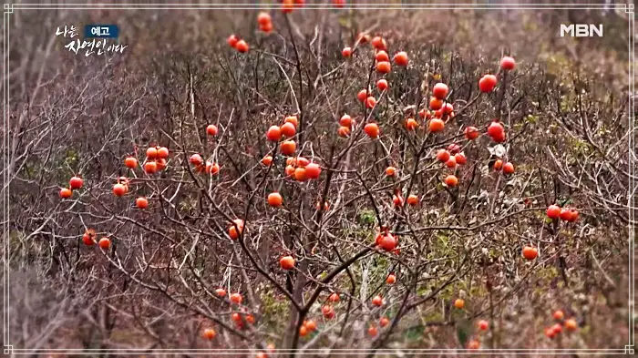 나는-자연인이다-윤택