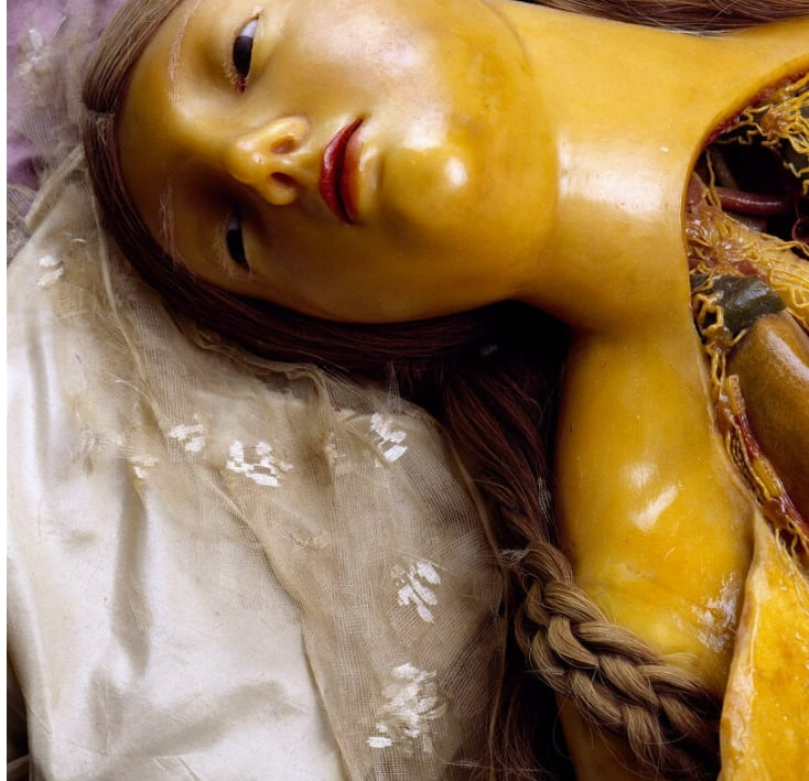 프라다, 밀랍 모델을 해부하다 Fondazione prada and david cronenberg dissect female wax models for anatomy exhibition