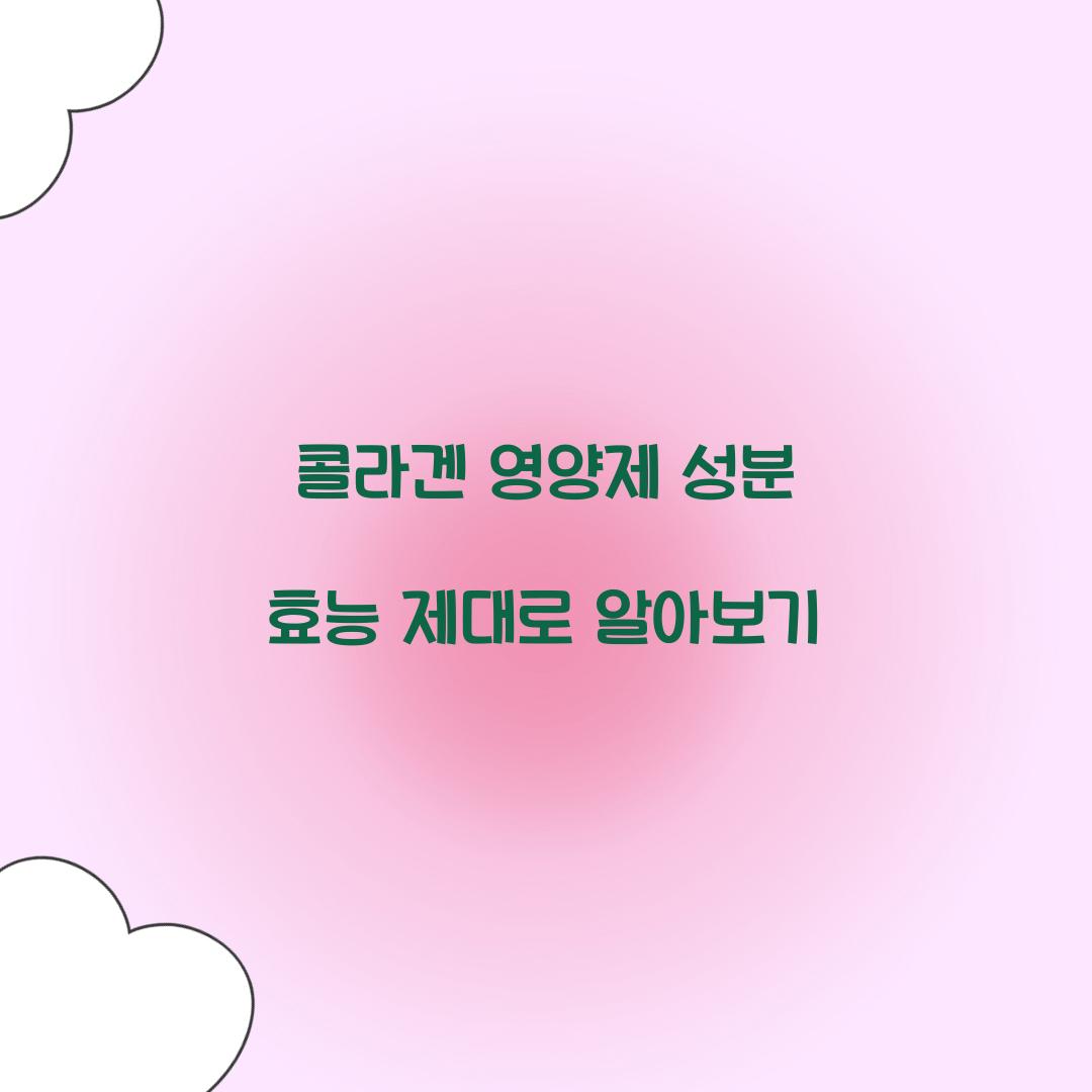 콜라겐 영양제 성분 효능