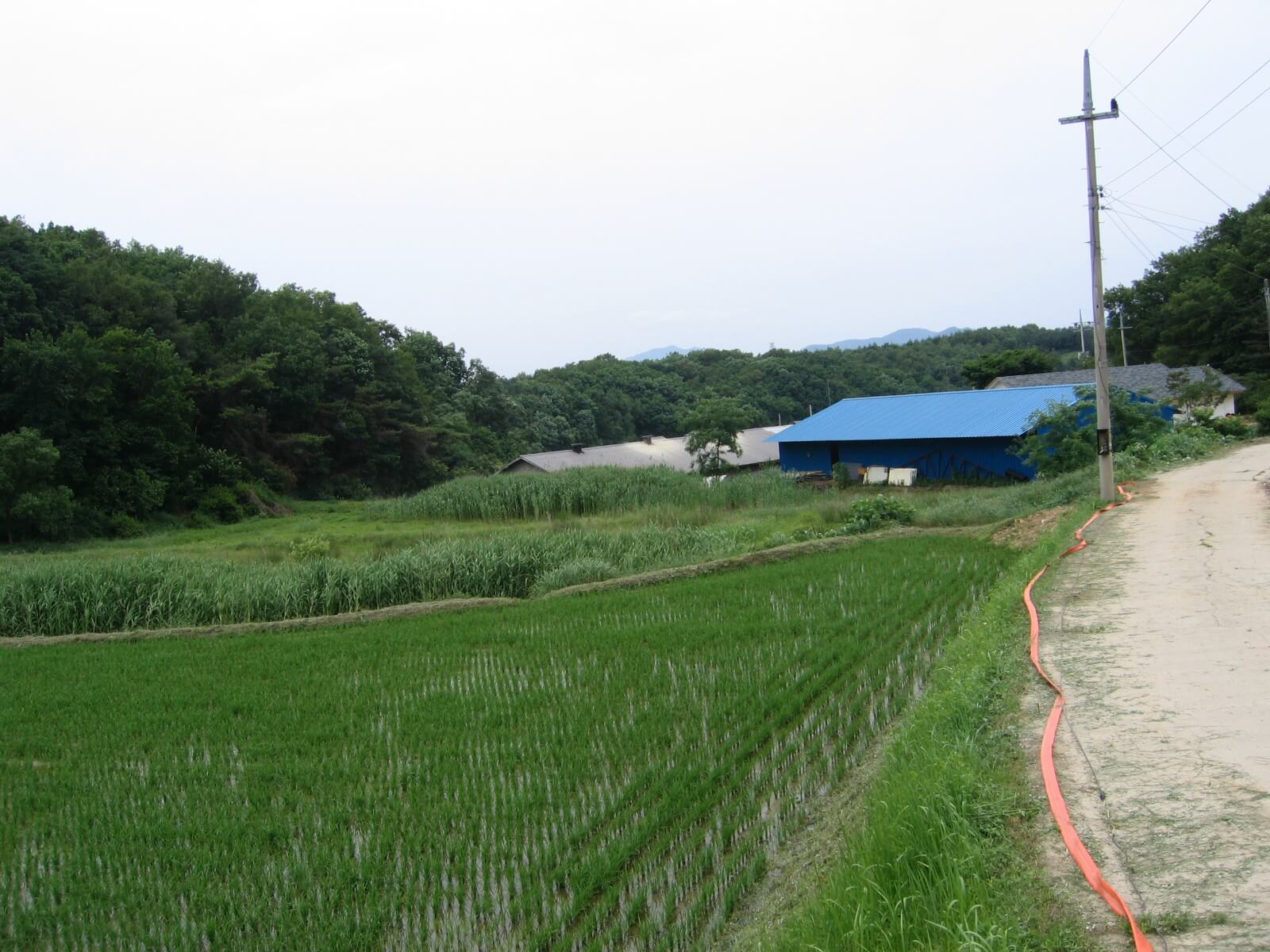 조상땅찾기