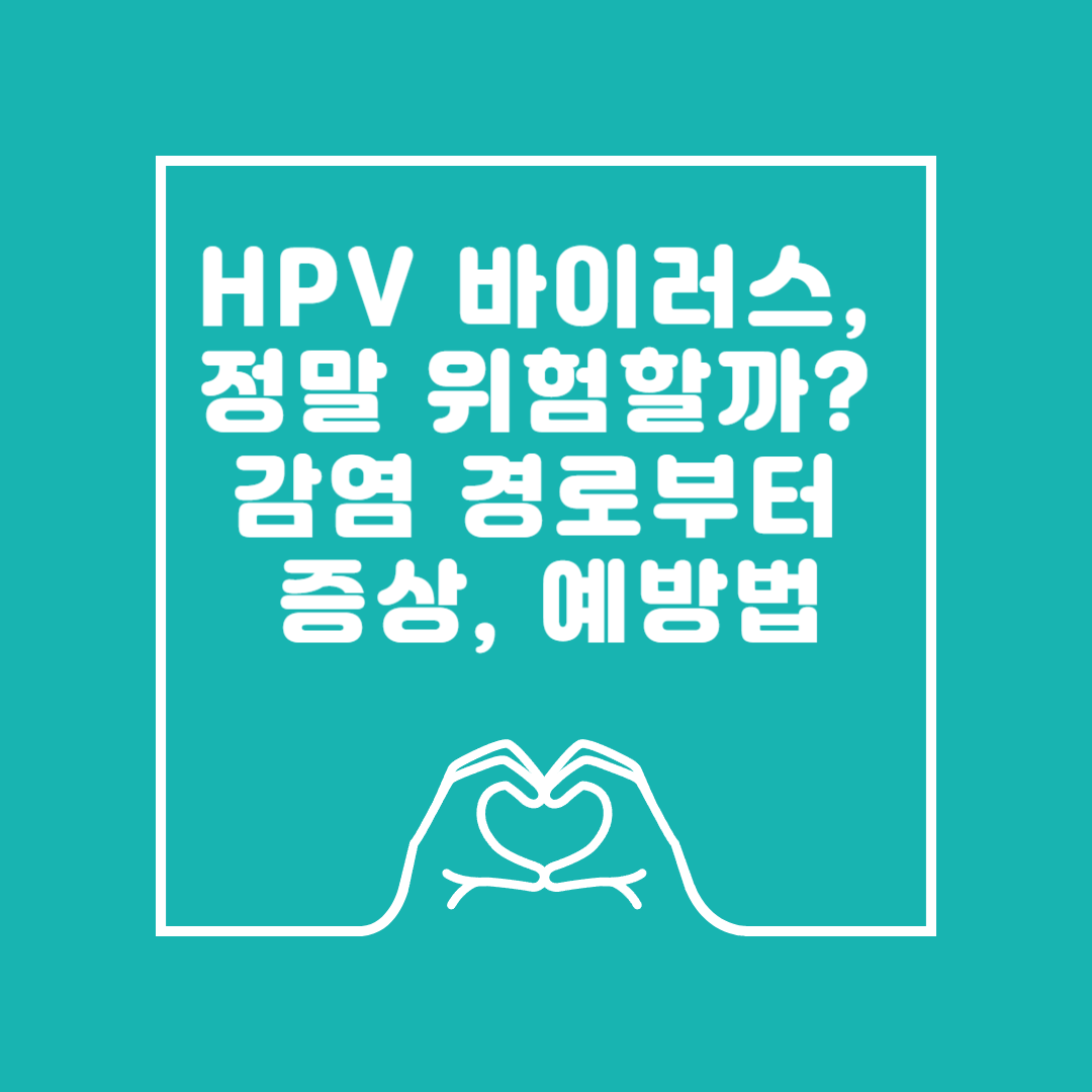 HPV 바이러스, 정말 위험할까? 감염 경로부터 증상, 예방법 이미지