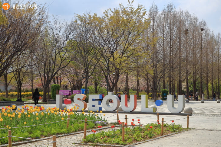 매화축제