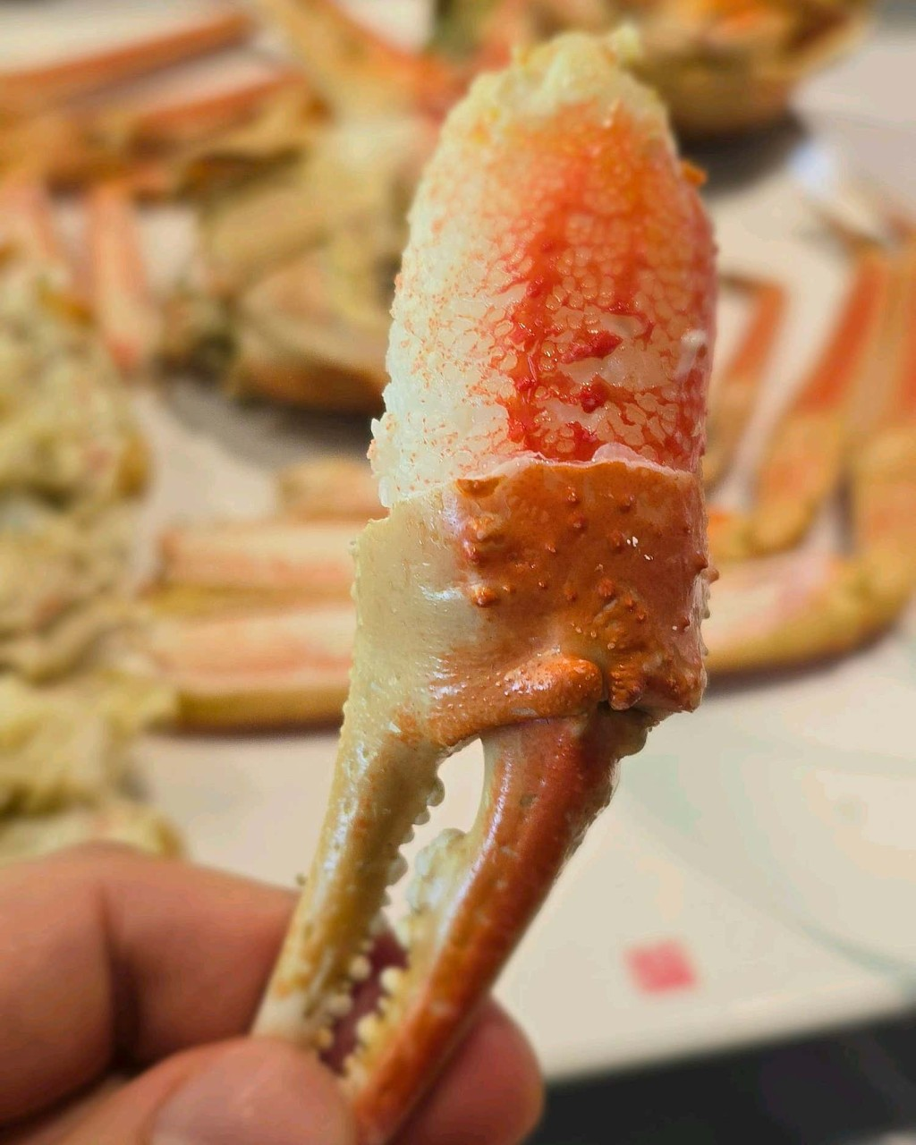 울진 후포항 맛집 추천