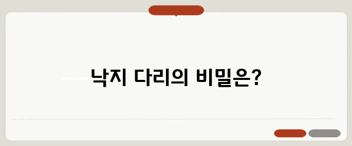 낙지 다리개수 과학적으로 확인된 숫자